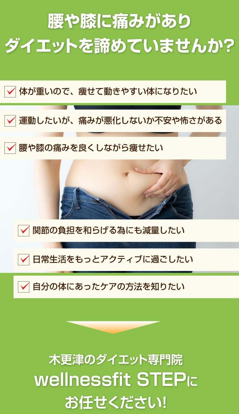 wellnessfit STEP,木更津市,ダイエット