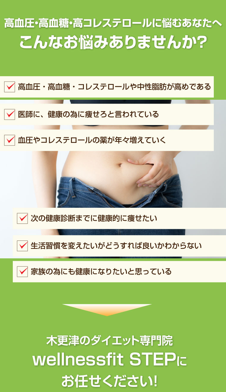 wellnessfit STEP,木更津市,ダイエット