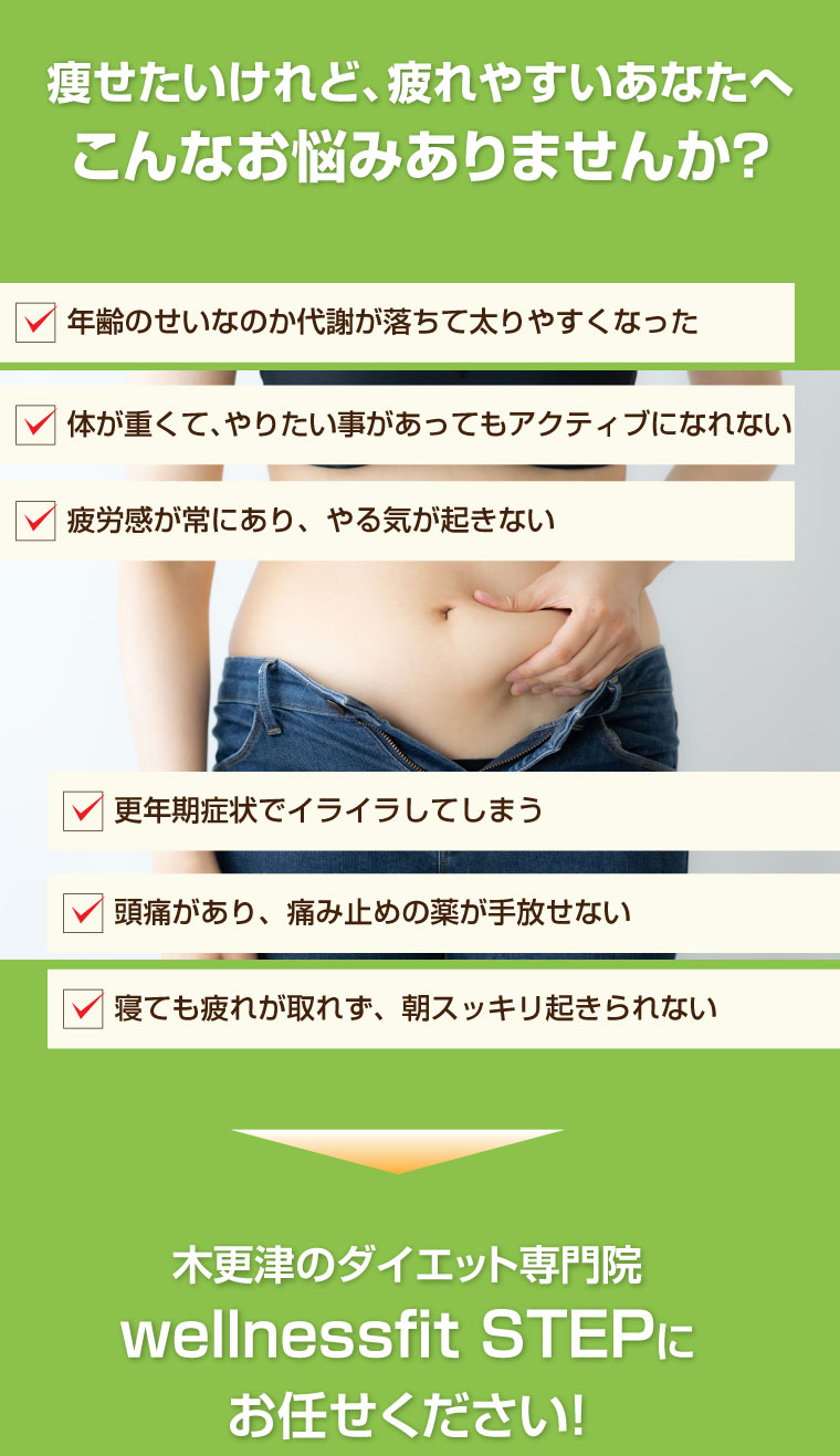 wellnessfit STEP,木更津市,ダイエット