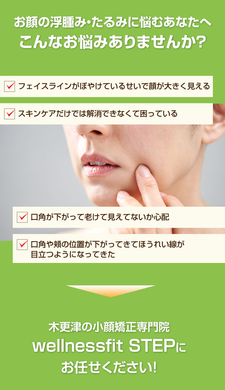 wellnessfit STEP,木更津市,ダイエット