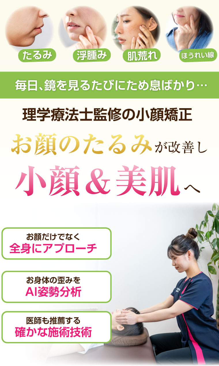 wellnessfit STEP,木更津市,ダイエット